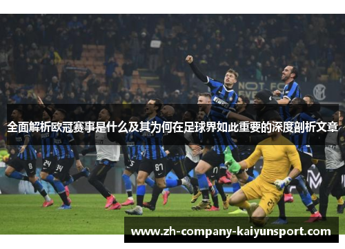 全面解析欧冠赛事是什么及其为何在足球界如此重要的深度剖析文章