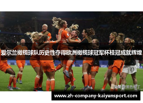 爱尔兰橄榄球队历史性夺得欧洲橄榄球冠军杯桂冠成就辉煌