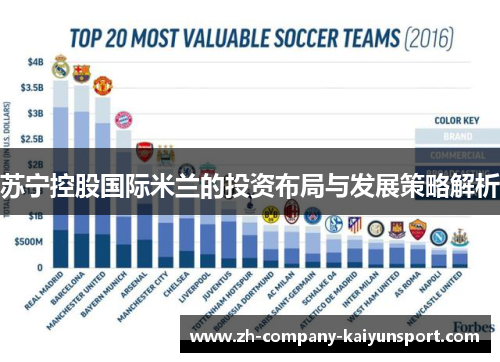 苏宁控股国际米兰的投资布局与发展策略解析 苏宁控股国际米兰的投资布局与发展策略解析