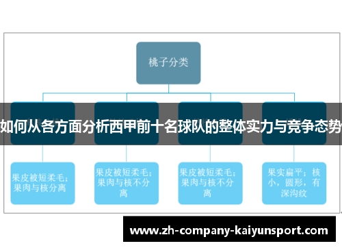 如何从各方面分析西甲前十名球队的整体实力与竞争态势 如何从各方面分析西甲前十名球队的整体实力与竞争态势