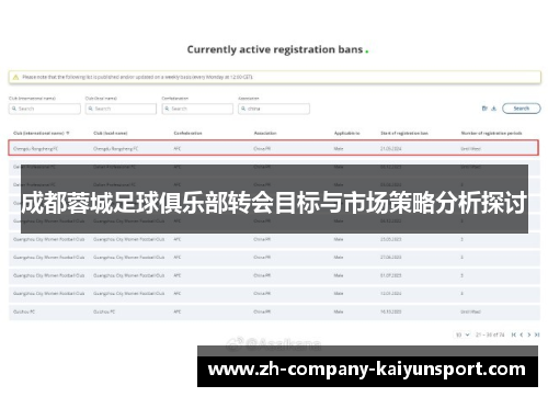 成都蓉城足球俱乐部转会目标与市场策略分析探讨